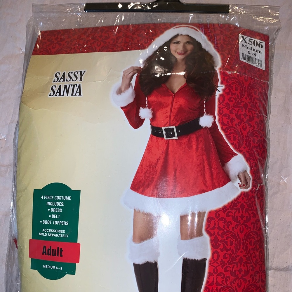 Sassy Santa Costume Dress